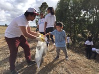 Helping Get Rid of Rubbish on Australia Clean Up Day